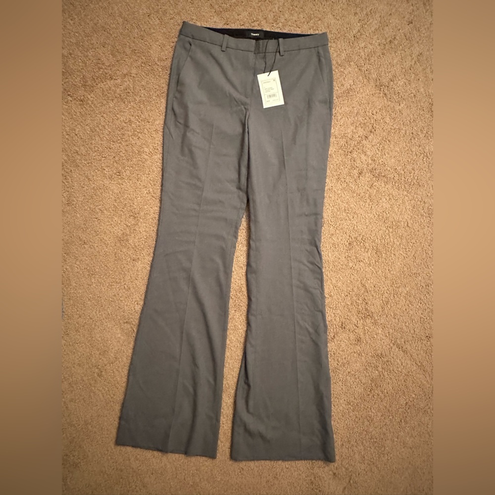 Comfy and Stylish Pants -Theory